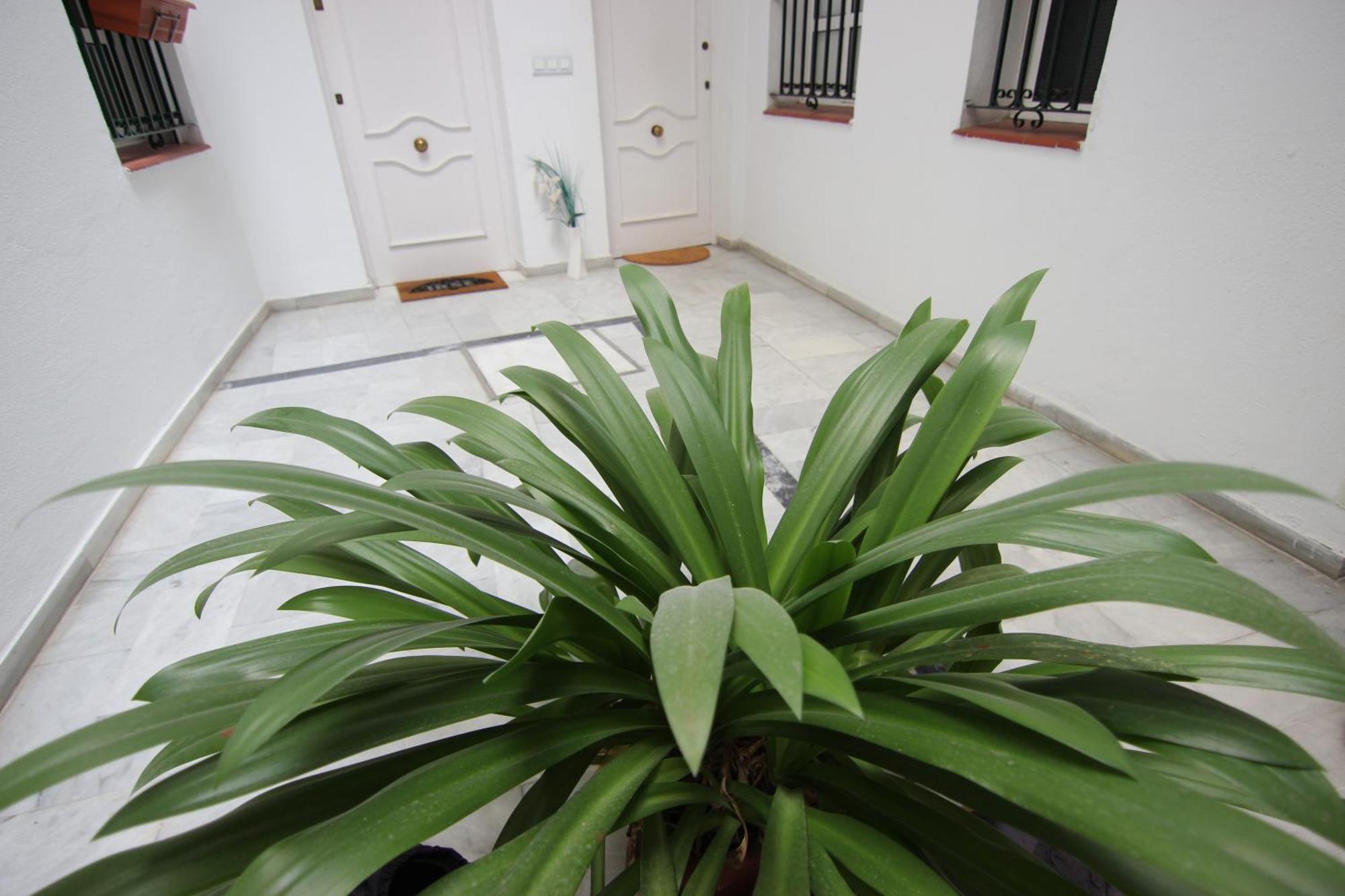Apartamento Corazon De Triana セビリア エクステリア 写真